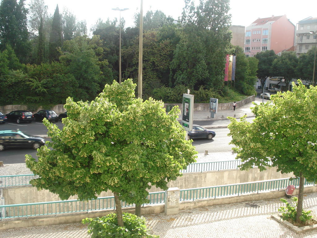 Center Garden Luxury Apartment Lisbon Room photo